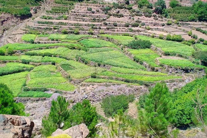 Atlas Mountain & Berber Villages and Waterfalls Day Trip From Marrakech - The Sum Up