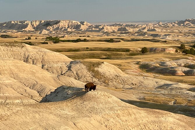 Badlands National Park Private Tour From Rapid City - Additional Information