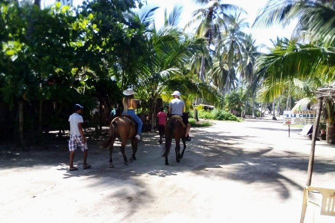 Boat Ride-Gentle Beach Beach Horseback RideLunch-Crocs-Turtles - The Sum Up