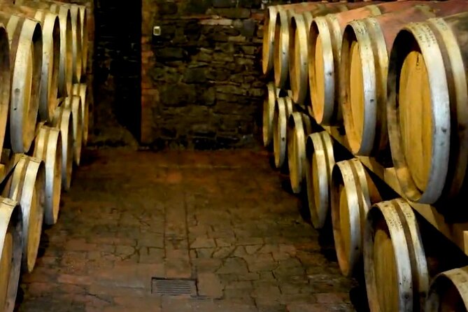 Brunello Wine Tasting From San Gimignano - Scenic Drive Through Tuscan Countryside