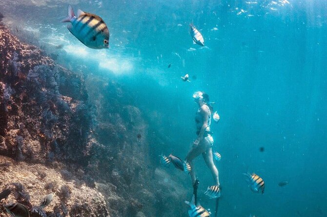 Cabo San Lucas Private Snorkeling Tour - Traveler Photos and Reviews