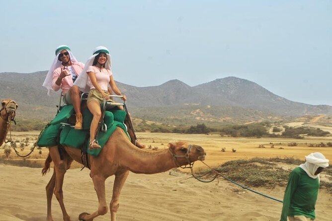 Cactus Combo Combine Two of Your Favorite Desert Tours - Contact and Support
