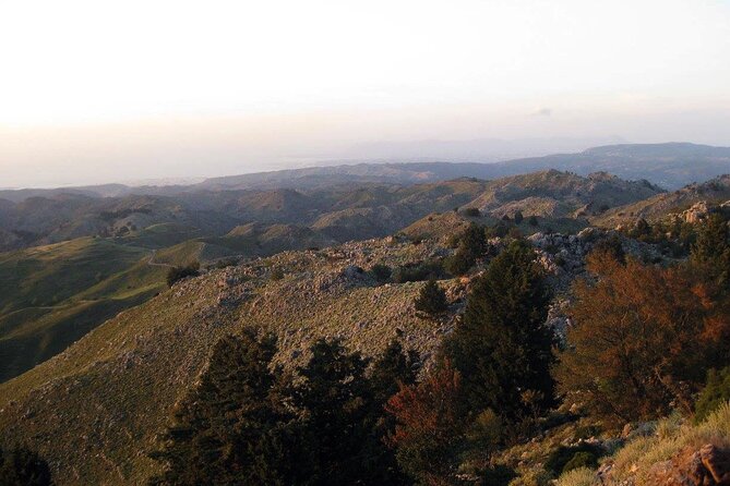 Chania Sunset Safari Tour - The Sunset Safari Experience