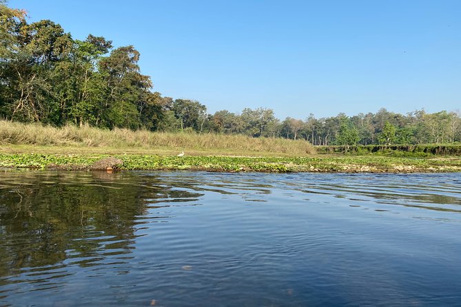 Chitwan Jungle Safari Tour - The Sum Up