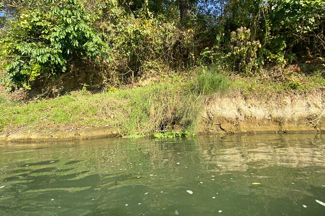 Chitwan Jungle Safari With Overnight Stay - Safety Measures and Responsible Tourism in Chitwan
