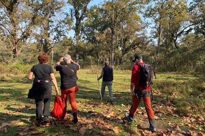 Chitwan Safari for 2 Nights 3 Days - Essential Packing Tips