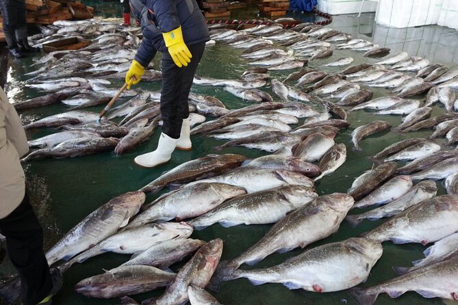 Cod Auction and Clam Auction in Winter - Souvenirs and Inclusions