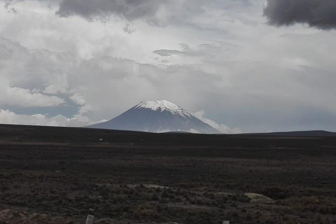 Colca Canyon Sightseeing Tour 2D1N and Transfer to Puno - Reviews and Testimonials