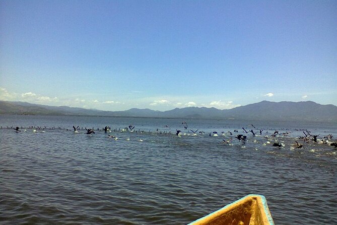 Coyuca Lagoon Tour in Acapulco - Common Questions