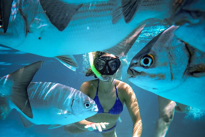 Cozumel Reefs Snorkeling Tour - Reviews and Ratings