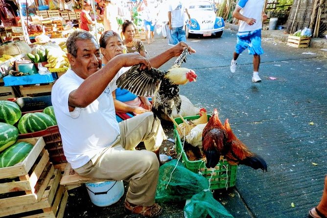 Cultural Palma Sola Petroglyphs City Market Experience With Lunch - Traveler Photos