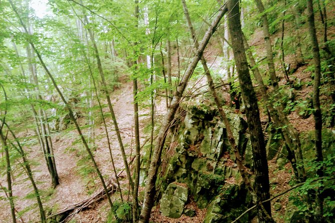 Day Hike in the Mountains of Sanremo - Additional Information