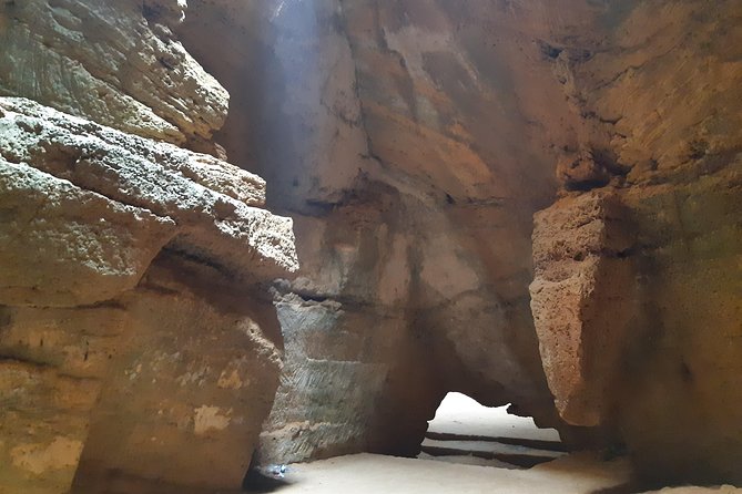 Day Trip off the Beaten Track to Cap Bon From Tunis or Hammamet - The Sum Up