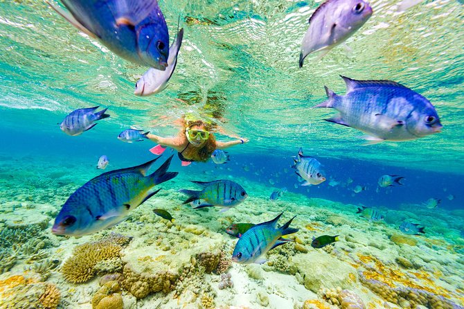 Discovery Package: Snorkeling Cruise and Dune Buggy Adventure at Punta Cana - Tour Overview