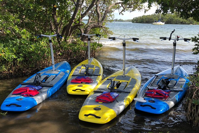 Dolphin & Manatee Watching Stand Up Pedalboarding Tour - Common Questions