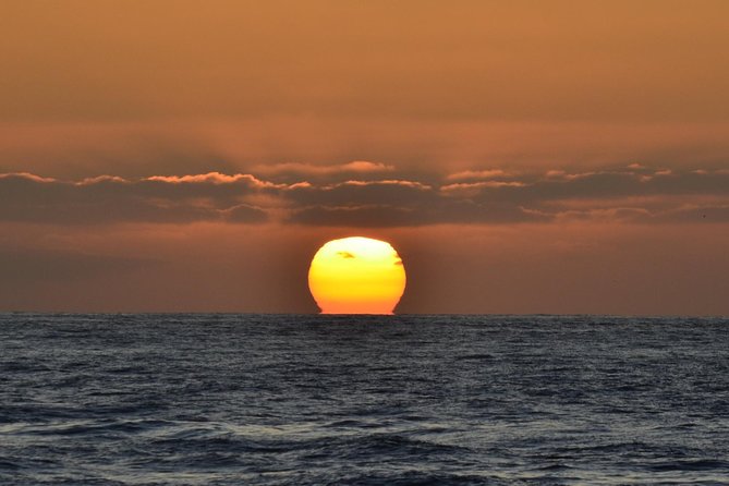 Dolphin & Whale Watching Sunset Cruise - Common Questions