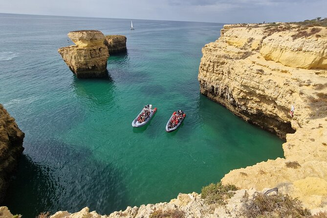 Dolphins and Benagil Caves From Albufeira - Allboat - Common Questions