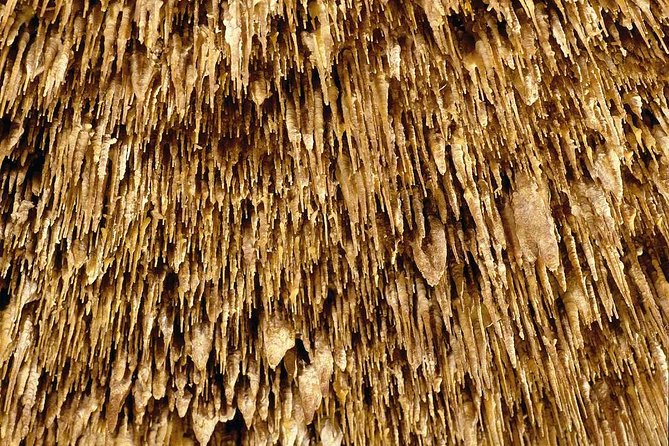 Drach Caves With Port Cristo and Pearl Shop Mallorca Full Day Tour - The Sum Up
