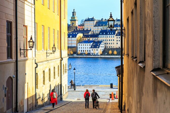 Drottningholm Palace Tour by VIP Car With Private Guide Stockholm - Common Questions