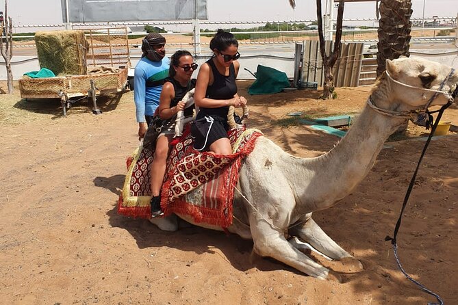 Dubai: All Inclusive Desert Safari With ATV, Camel, Horse Ride, Vip & More - The Sum Up