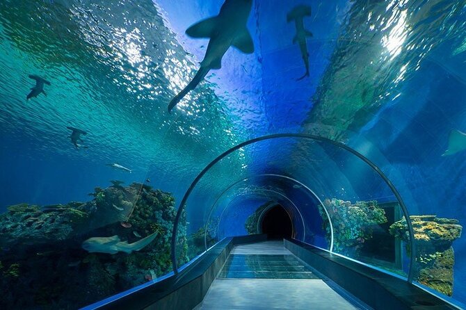 Dubai Aquarium and Underwater Zoo - The Sum Up