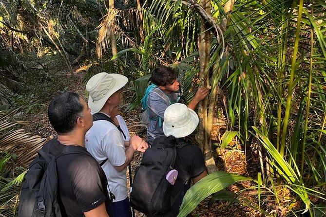 Ecohike Experience Through the Jungle, Mountains and Hidden Beach - The Sum Up