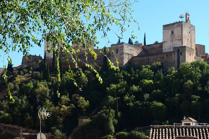 Enchanting Granada: A Self-Guided Audio Tour - Common Questions