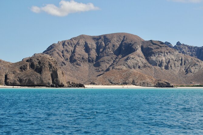 Espiritu Santo Island Tour - Tips for a Memorable Experience