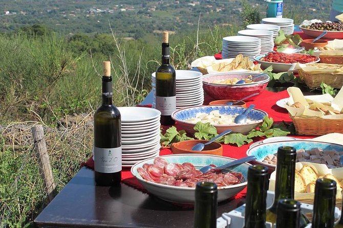 Etna Private Tour From Messina Traditional Lunch at Etna Winery - The Sum Up