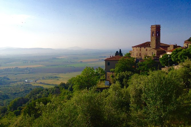 Florence and San Gimignano Private Tour From Livorno - Common Questions