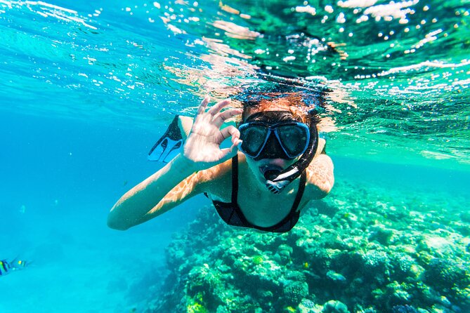 From Dubai: Snorkeling Trip in Fujairah - Common Questions