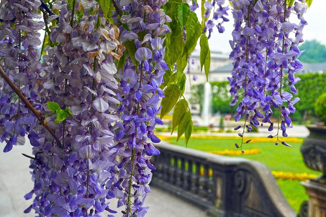 From Munich Airport to Salzburg - Private Transfer - Punctual & Friendly Driver - Customer Reviews and Ratings