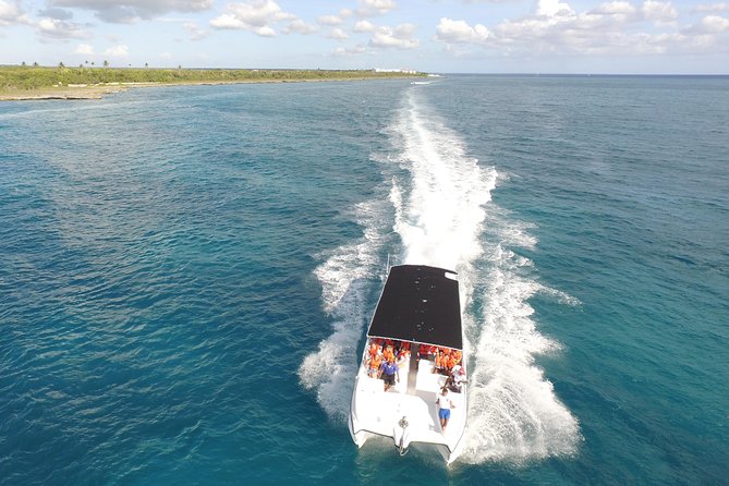 From Punta Cana: Saona Island & Altos De Chavon Day Trip With Lunch and Open Bar - Reviews From Travelers
