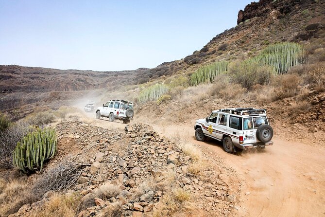 Fuerteventura 4x4 Tour and Lobos Island Catamaran Trip With Lunch - The Sum Up