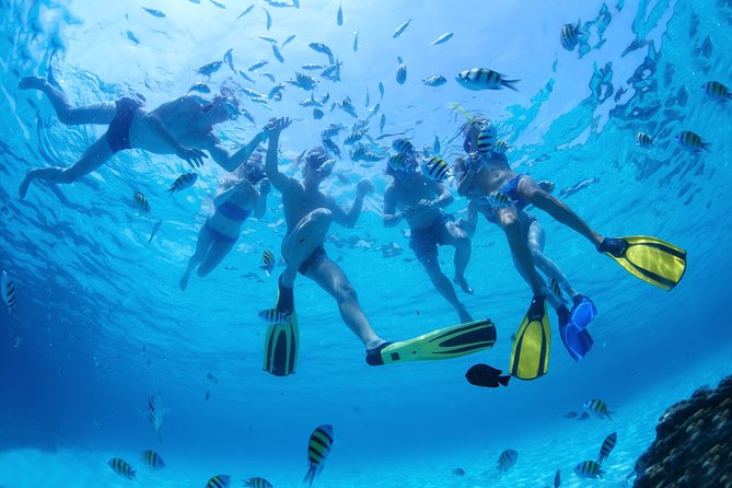 Full Day Private Boat Charter Exploring the "Best of the Usvi" - Charter Details