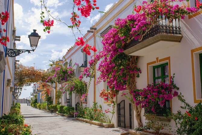 Full Day Private Shore Tour in Las Palmas From Gran Canaria Port - The Sum Up