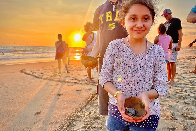 Full Day Tour Turtle Release and Bioluminescence - Tour Inclusions
