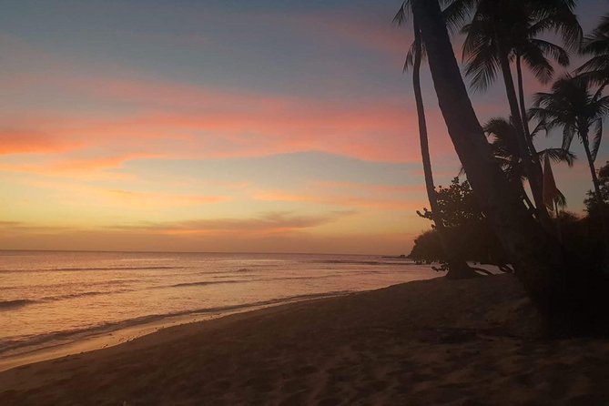 Full Island Tour (Including Lunch & Snorkeling) - Review 1 by Ashley_J