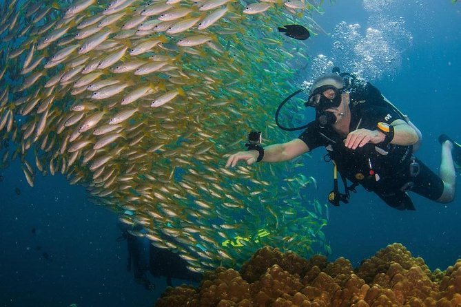 Fun Diving Safari Day Trip From Koh Lanta - Certified Divers - The Sum Up