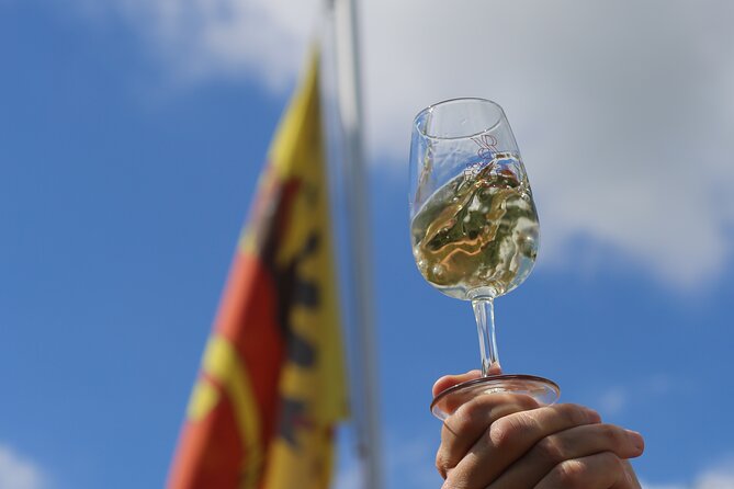 Geneva Panoramic and Tasting Vineyards Tour in a TukTuk (electric) - Additional Information