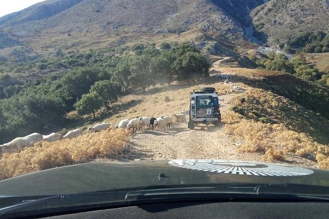 Georgioupolis Full-Day Off-Road Safari Including Lunch  - Crete - Visits to Winery, Olive Oil Factory, Castle, and Historical Sites