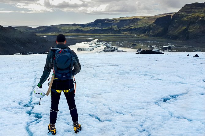 Glacier Walk and South Coast Tour by Minibus From Reykjavik - Positive Reviews and Testimonials