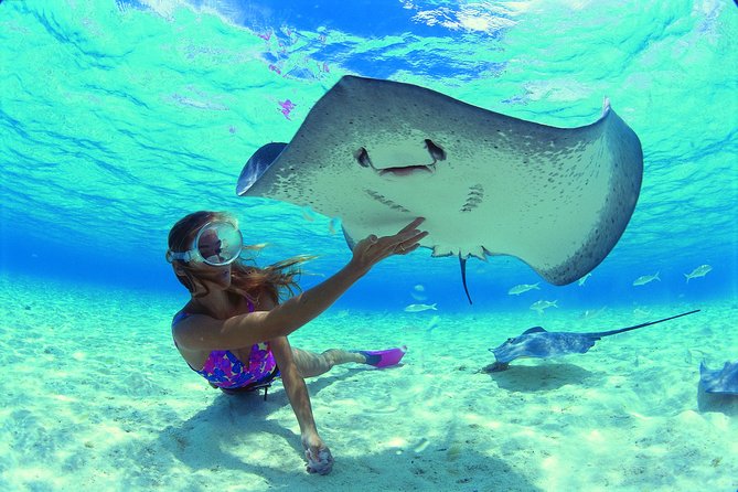 Glass-Bottomed Boat Tour With Lunch and Snorkeling, Moorea - Good To Know