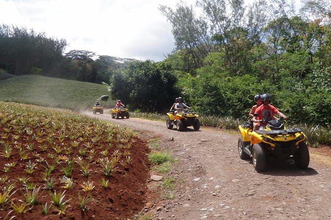 Grand Tour Quad 3h30 Quad Excursion in Moorea (Single or Two-Seater) - Traveler Reviews