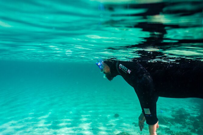 Guided Snorkeling Activity on the Island of Tarifa - Whats Included