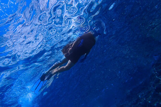 Guided Snorkeling Trips Kos Island - Common Questions