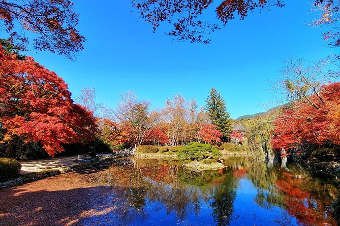 Gyeongju Maple Tour From Busan - Booking and Pricing Information