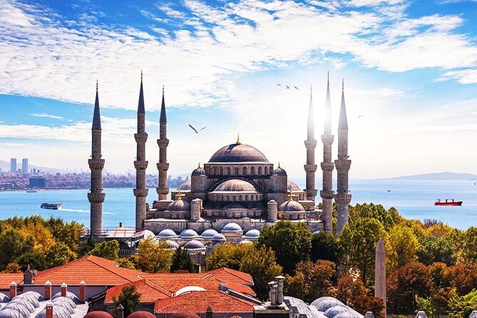 Hagia Sophia Museum, Blue Mosque Small-Group Walking Tour  - Istanbul - Visit the Blue Mosque and Its Interior