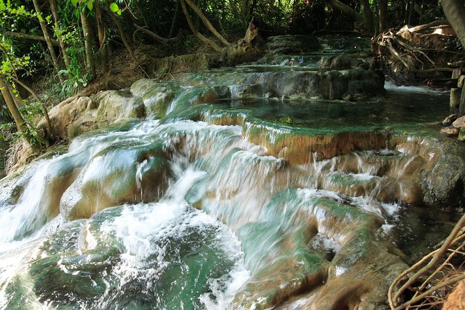Half-Day Jungle Tour Including Crystal Pool and Krabi Hot Springs - Reviews and Ratings