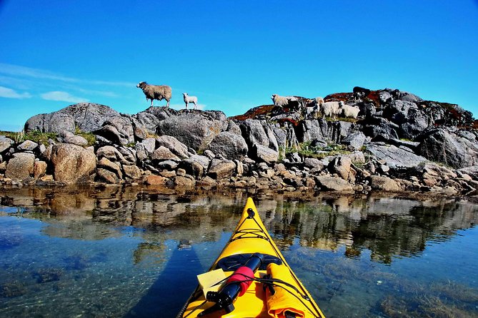Half Day Kayak - Northern Explores AS - Pricing and Booking Information